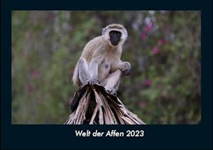 Welt der Affen 2023 Fotokalender DIN A4