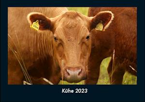 Kühe 2023 Fotokalender DIN A4