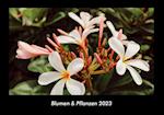 Blumen & Pflanzen 2023 Fotokalender DIN A3
