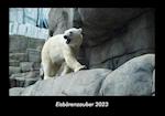 Eisbärenzauber 2023 Fotokalender DIN A3