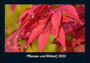 Pflanzen und Blüten 2023 Fotokalender DIN A4