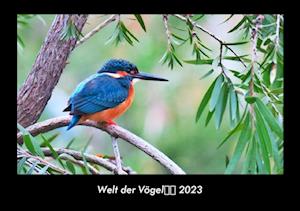 Welt der Vögel 2023 Fotokalender DIN A3