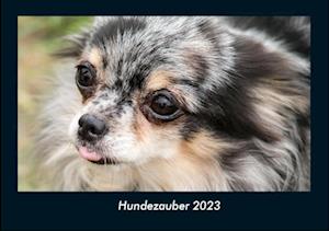 Hundezauber 2023 Fotokalender DIN A4