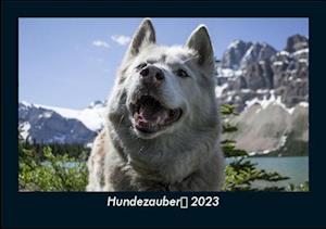 Hundezauber 2023 Fotokalender DIN A5