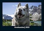 Hundezauber 2023 Fotokalender DIN A5