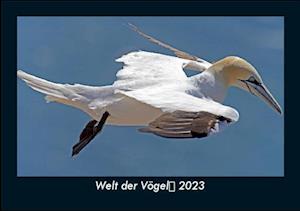 Welt der Vögel 2023 Fotokalender DIN A5