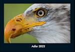 Adler 2023 Fotokalender DIN A4