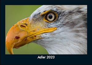 Adler 2023 Fotokalender DIN A5