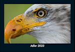 Adler 2023 Fotokalender DIN A5