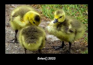 Enten 2023 Fotokalender DIN A3