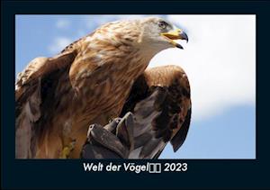 Welt der Vögel 2023 Fotokalender DIN A5