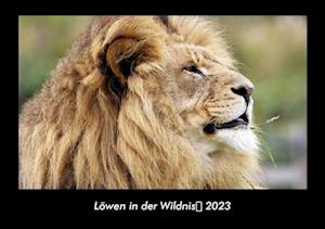 Löwen in der Wildnis 2023 Fotokalender DIN A3