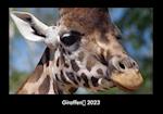 Giraffen 2023 Fotokalender DIN A3