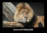 Löwen in der Wildnis 2023 Fotokalender DIN A3