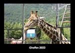 Giraffen 2023 Fotokalender DIN A3