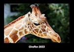 Giraffen 2023 Fotokalender DIN A3