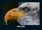 Adler 2023 Fotokalender DIN A5