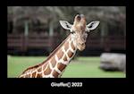 Giraffen 2023 Fotokalender DIN A3