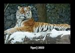 Tiger 2023 Fotokalender DIN A3