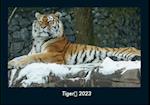 Tiger 2023 Fotokalender DIN A4