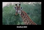 Giraffen 2023 Fotokalender DIN A3