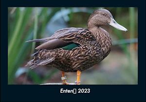 Enten 2023 Fotokalender DIN A4