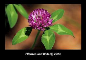 Pflanzen und Blüten 2023 Fotokalender DIN A3