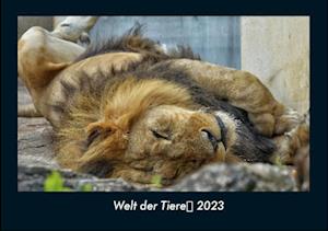 Welt der Tiere 2023 Fotokalender DIN A4