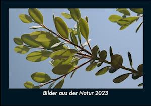 Bilder aus der Natur 2023 Fotokalender DIN A5