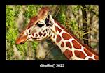 Giraffen 2023 Fotokalender DIN A3