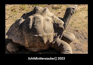 Schildkrötenzauber 2023 Fotokalender DIN A3