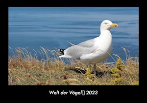 Welt der Vögel 2023 Fotokalender DIN A3