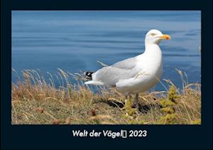 Welt der Vögel 2023 Fotokalender DIN A4