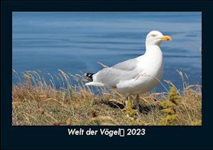 Welt der Vögel 2023 Fotokalender DIN A5