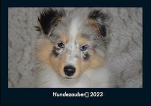 Hundezauber 2023 Fotokalender DIN A4