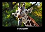 Giraffen 2023 Fotokalender DIN A3