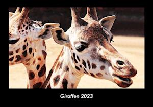 Giraffen 2023 Fotokalender DIN A3