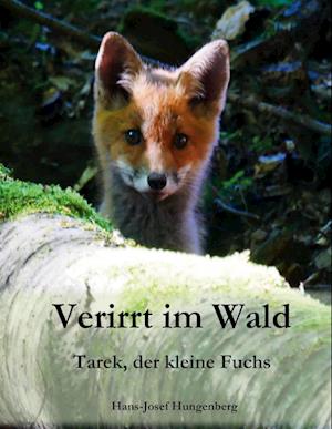 Verirrt im Wald