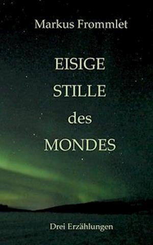 Eisige Stille des Mondes