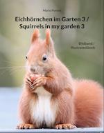 Eichhörnchen im Garten 3 / Squirrels in my garden 3