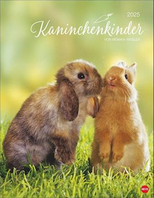 Kaninchenkinder Posterkalender 2025