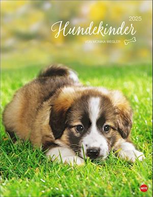 Hundekinder Posterkalender 2025