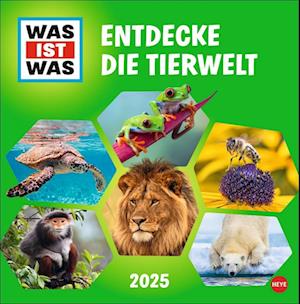 WAS IST WAS Tierwelt Broschurkalender 2025