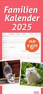 Katzen Familienplaner 2025