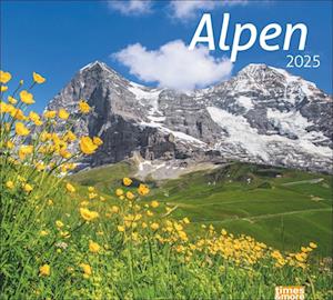 Alpen Bildkalender 2025