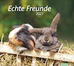 Echte Freunde Bildkalender 2025