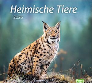 Heimische Tiere Bildkalender 2025