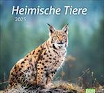 Heimische Tiere Bildkalender 2025