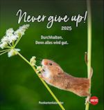 Never give up! Postkartenkalender 2025