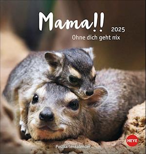 Mama! Postkartenkalender 2025 - Ohne dich geht nix!